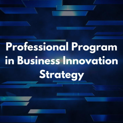 Professional Program in Business Innovation Strategy