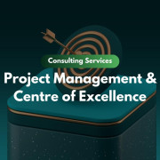 Project Management & Centre of Excellence